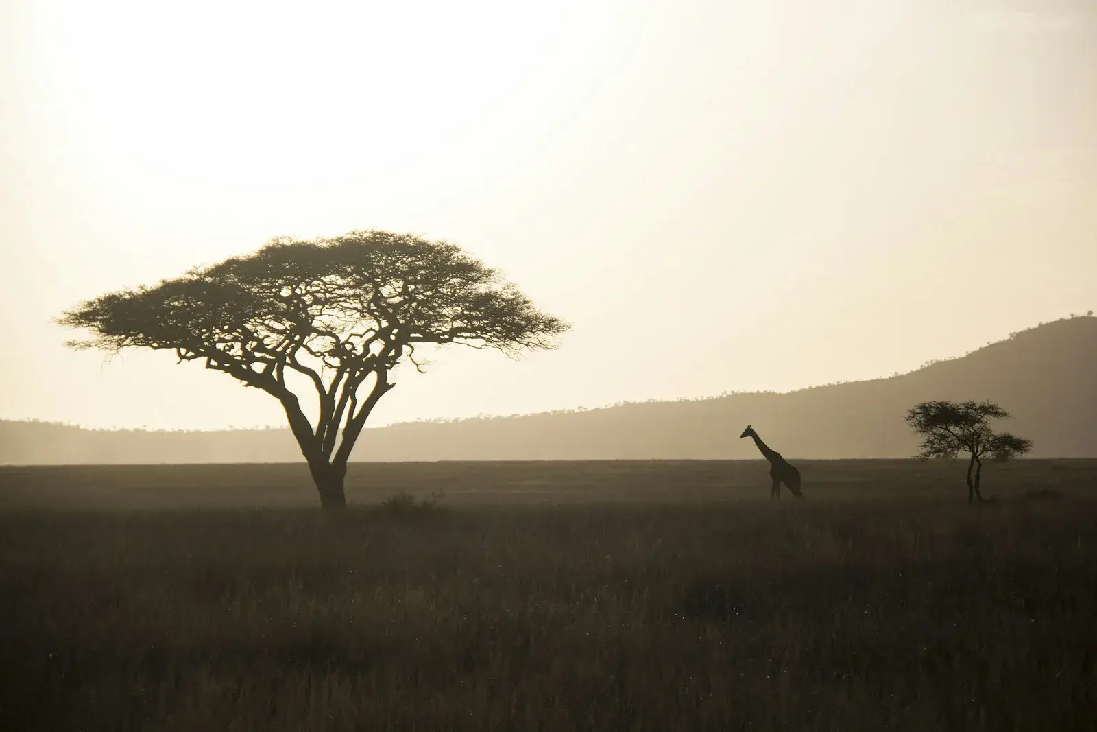 Kenya in Style: A 4-Day Luxurious Experience