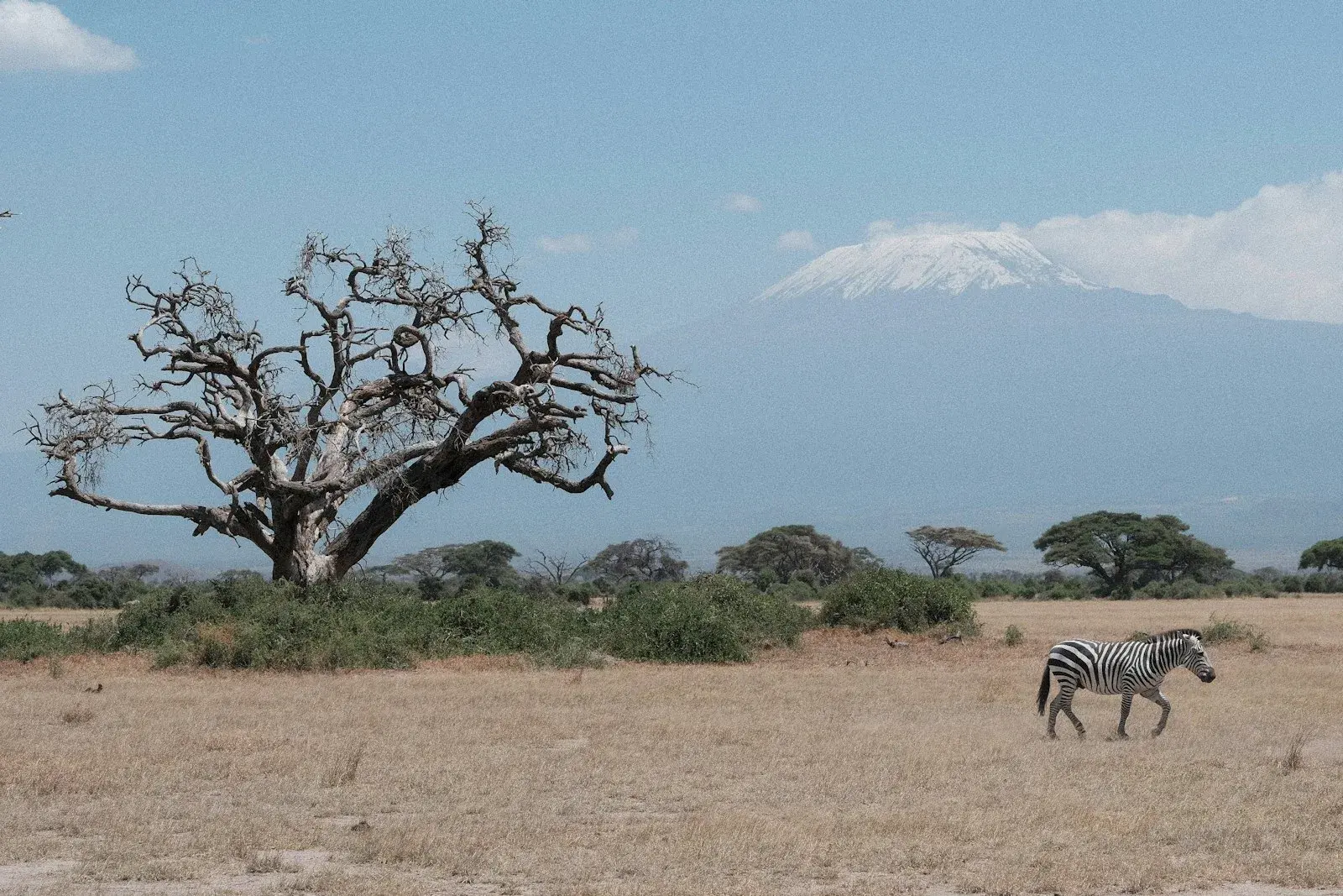 Aberdares Kenya
