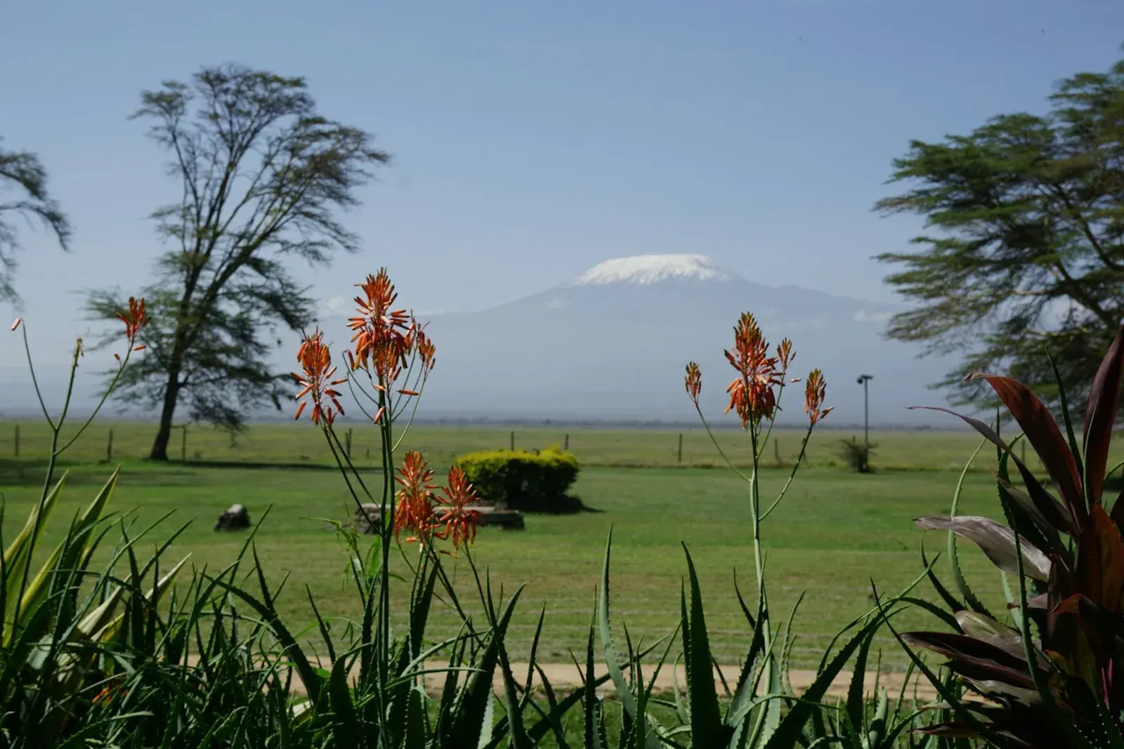 Hikers ascending Mount Kilimanjaro
