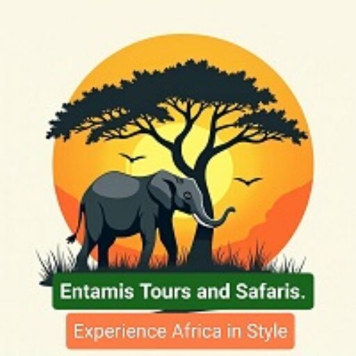 Entamis Tours